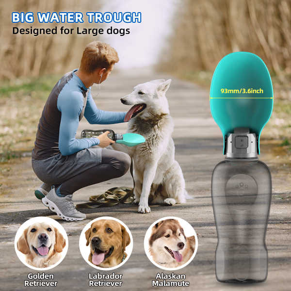 Green & Grey Foldable Pet Water Bottle – 800ml Leakproof Travel Dispenser