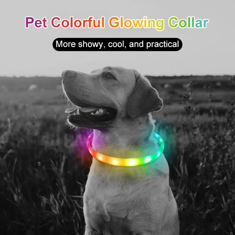 Colorful LED Rechargeable Pet Collar – Adjustable & Glow-in-Dark