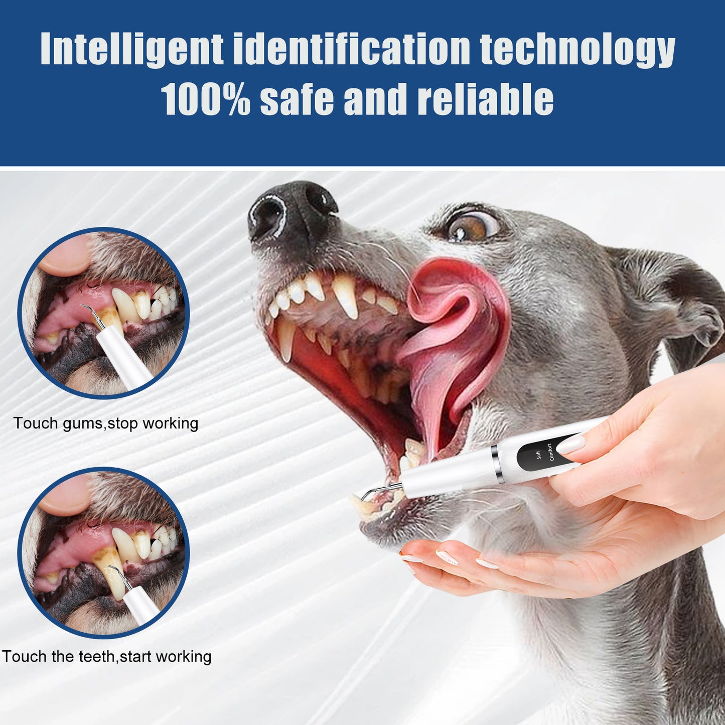 Black Pet Dental Cleaning Kit – Ultrasonic Scaler with 3 Modes