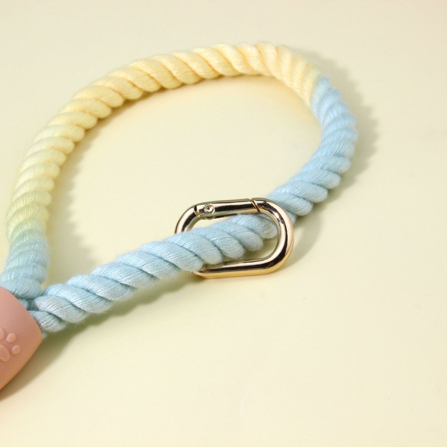 Rainbow Ombre Rope Dog Leash - Durable Nylon Slip Lead for Small & Medium Breeds