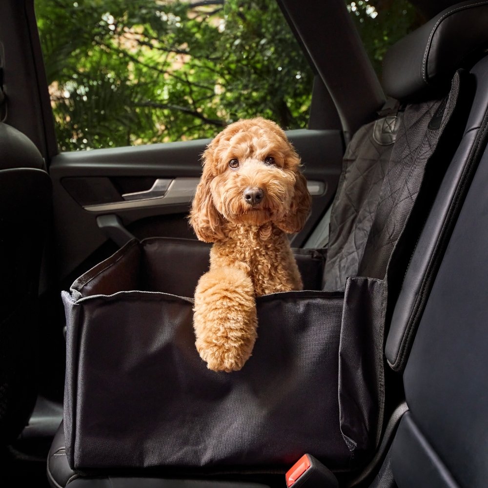 Carriers and Car Seat Covers