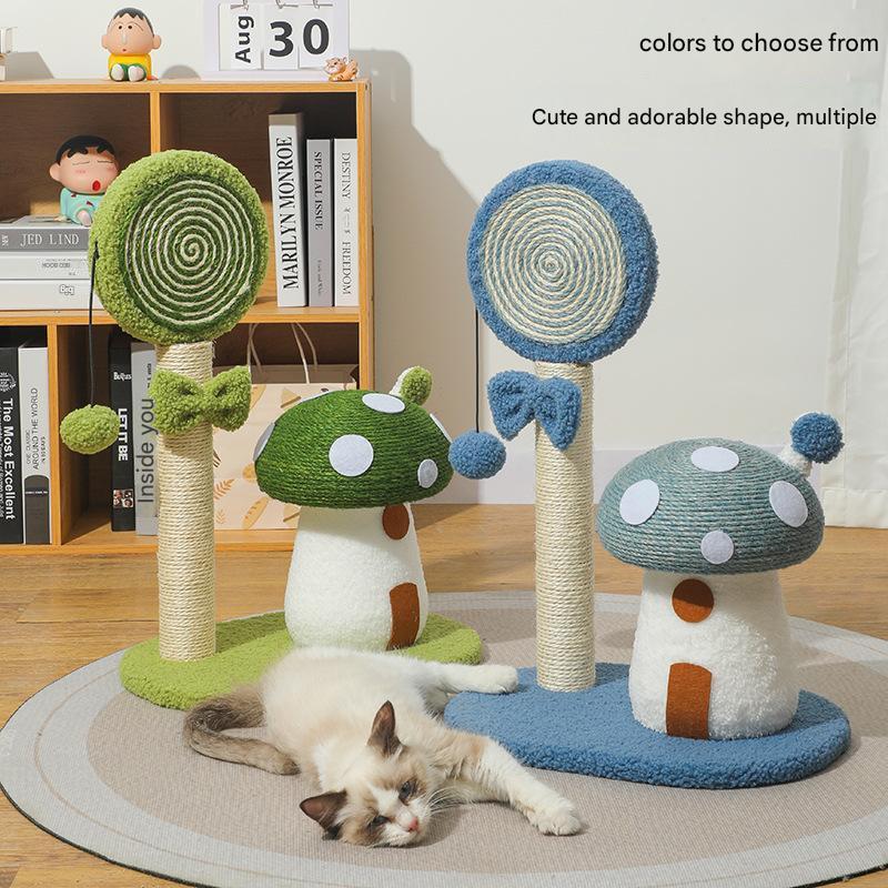 Cat's Play Area
