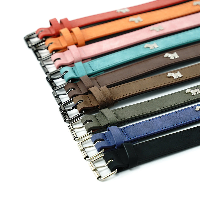 Collars, Leads & Harnesses