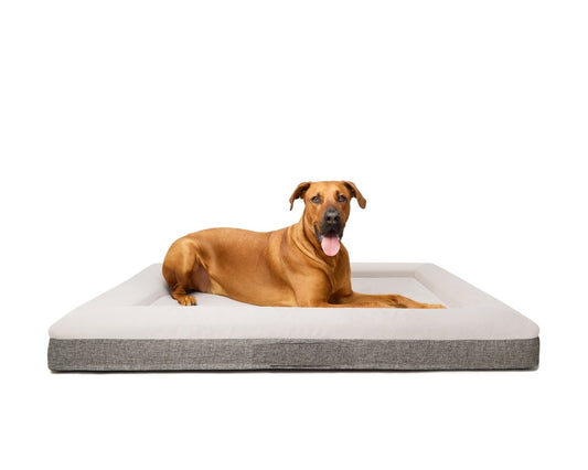 Fur King Ortho XL Orthopedic Dog Bed