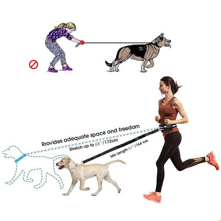 Hands Free Leash Adjustable Waist Pack