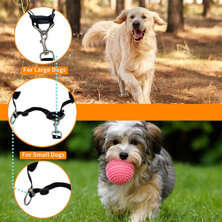 Hands Free Leash Adjustable Waist Pack