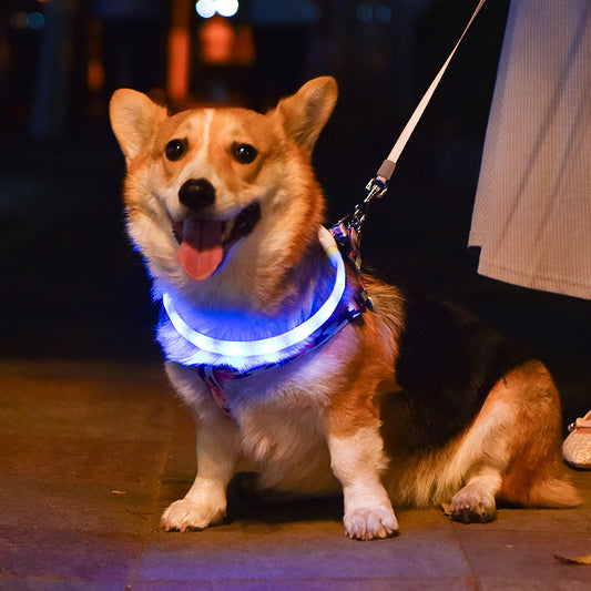 Colorful LED Rechargeable Pet Collar – Adjustable & Glow-in-Dark