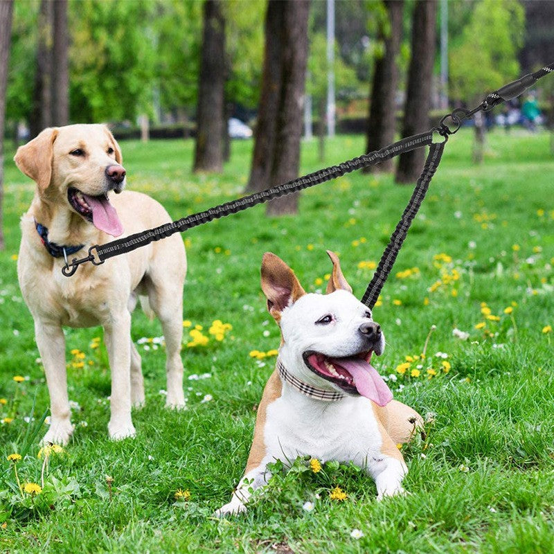 1.5M Dual Dog Leash - Easy to walk two dogs, tangle-free design