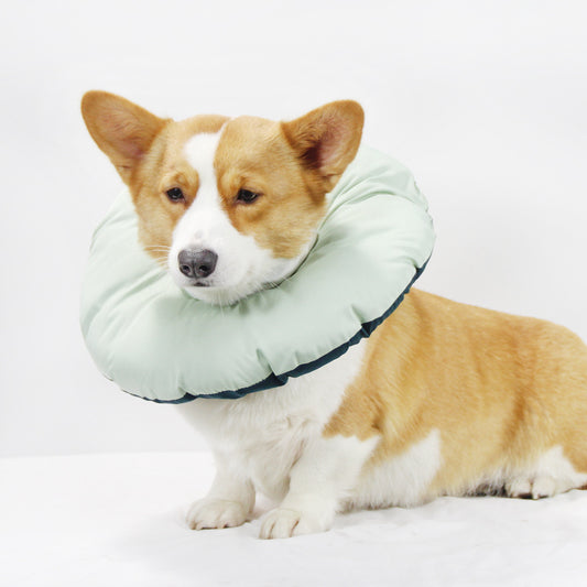 Green Soft Adjustable Pet Recovery Collar – Size M