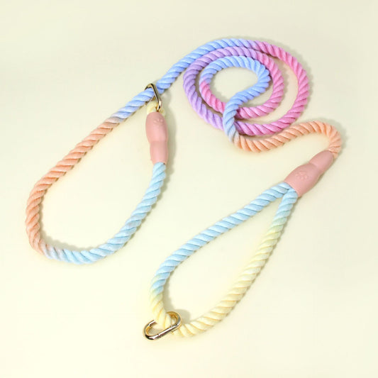 Rainbow Ombre Rope Dog Leash - Durable Nylon Slip Lead for Small & Medium Breeds