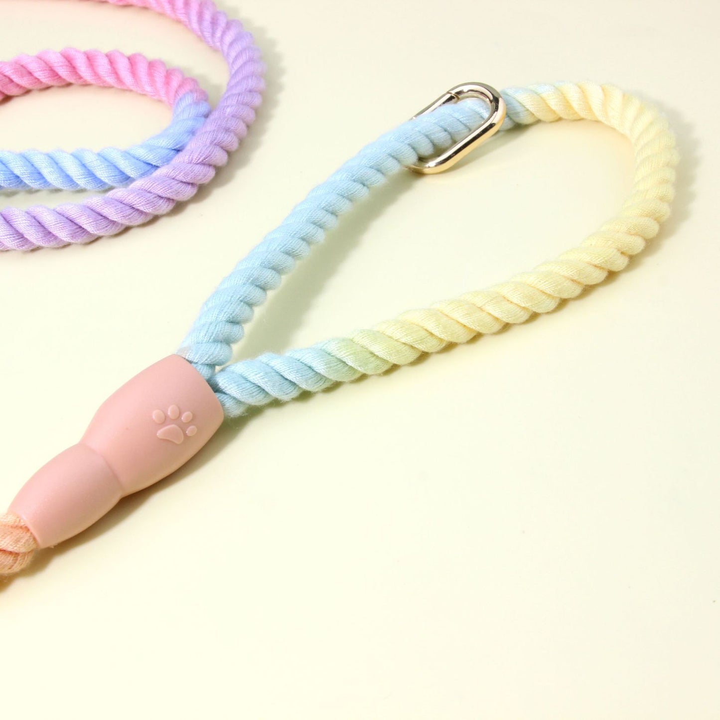 Rainbow Ombre Rope Dog Leash - Durable Nylon Slip Lead for Small & Medium Breeds