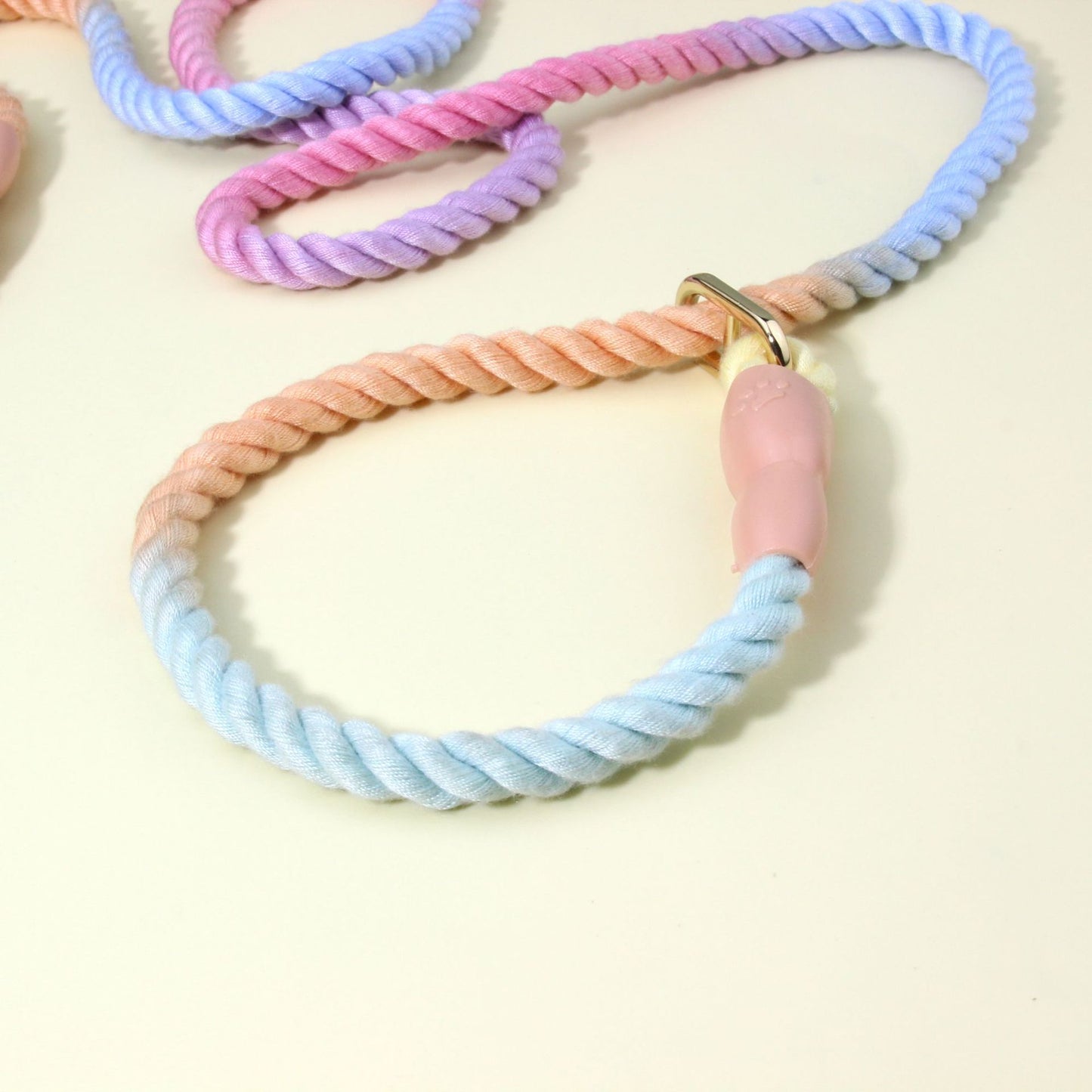 Rainbow Ombre Rope Dog Leash - Durable Nylon Slip Lead for Small & Medium Breeds
